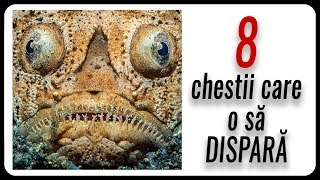 8 chestii care o să DISPARĂ (la care nu te-ai gândi)