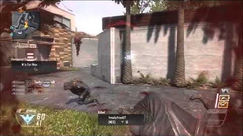 Insane Black Ops II Feed w/PDW