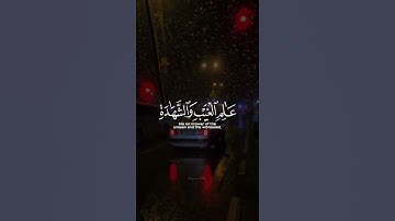 اكتب شي تؤجر عليه ♡✨️ | القارئ عبدالرحمن مسعد | قرآن كريم