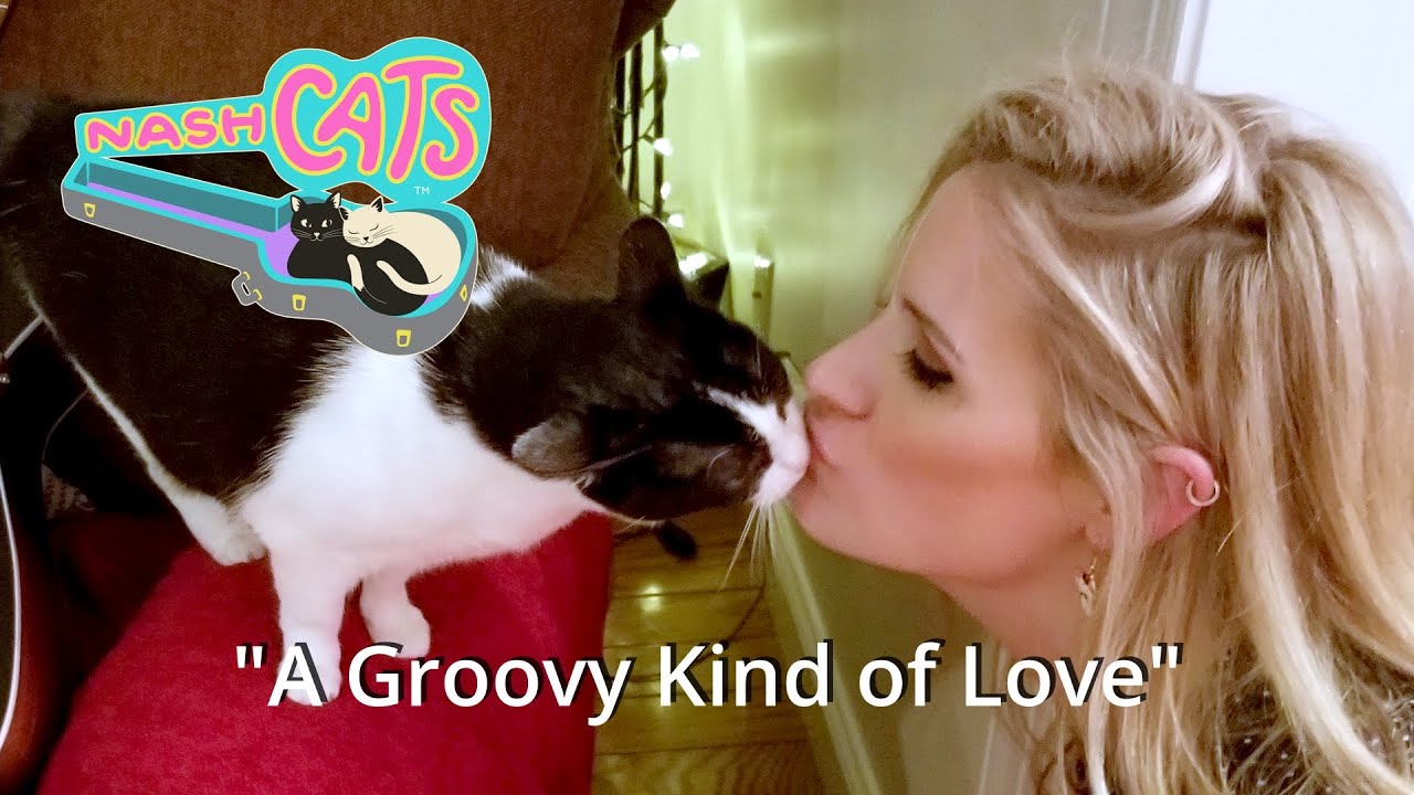 A Groovy Kind of Love | NashCats Episode 6