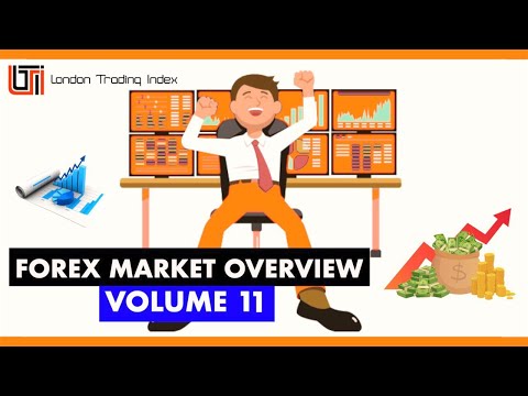 Forex Market Overview – Volume 11