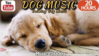 20 HOURS of Dog Calming Music🦮💖Dog relaxation🐶🎵Anti Separation Anxiety Relief Music⭐Healingmate by HealingMate - Dog Music 36,352 views 2 weeks ago 20 hours