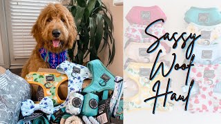 SASSY WOOF HAUL | Trendy dog harnesses, poop bag holders & leashes ✨