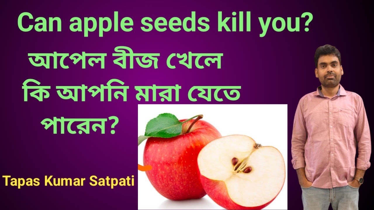 Can apple seeds kill you|আপেল বীজ খেলে কি আপনি মারা যেতে পারেন? By Tapas Kumar Satpati in bengali|