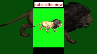 Lion green screen video #shorts #viral #youtubeshorts #animalcartoonvideo #toonstv