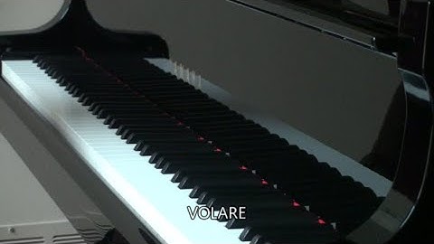 Volare (with lyrics)