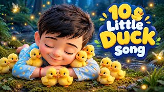 Sensory Friendly Calm Down Video for Toddlers | 10 Little Duckies screenshot 5