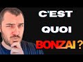 Bonzaipro  un outil gratuit pour montiser facilement ton audience