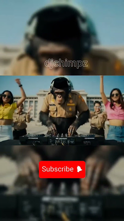 'DJ PNS?! Simpanse Goyang Asik di Depan DPR!' #djchimpz #monkey #funny