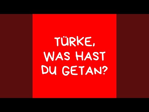 Türke, was hast du getan?