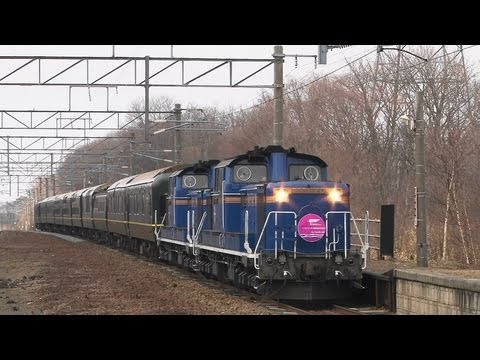 トワイライトエクスプレスが植苗駅を通過