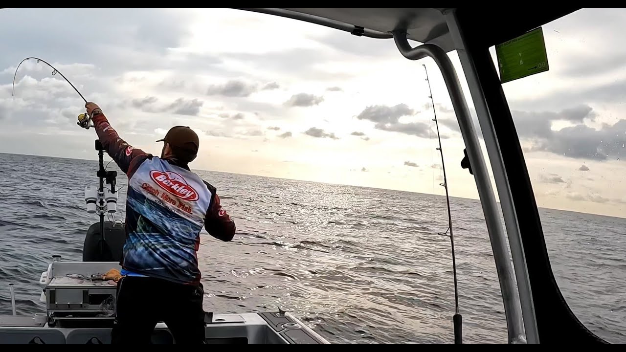 Bait Vs Plastics - Snappers, Baker, Barracuda, Rock Cod and PJ - YouTube