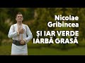 Nicolae Gribincea - Și iar verde iarbă grasă