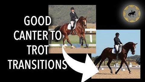 HOW DO I GET GOOD CANTER TO TROT TRANSITIONS? - Dressage Mastery TV Episode 192