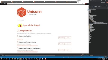 Unicorn Serialization for SXA Projects