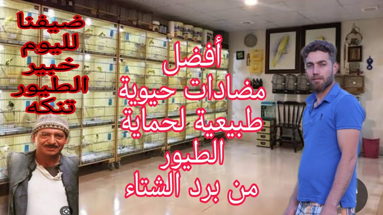 أفضل واقوى كورس وقائي للطيور في فصل الشتاء والطريقة الصحية في استخدامه