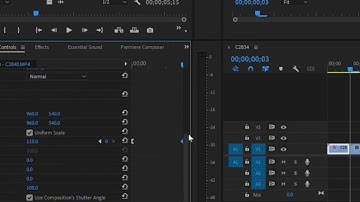 How to do the camera shutter effect in premiere pro 🤏🔥🔥🔥🎬 #editortips #premierepro #effects 