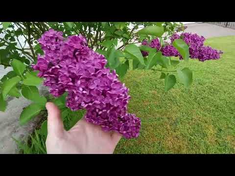 Для того, чтобы