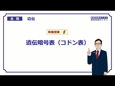 【高校生物】　遺伝8　遺伝暗号表（コドン表）（１４分）