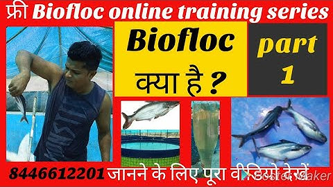 Biofloc  क्या है | Part - 1 | free biofloc online training series | Jaikumar Nagpur maharstra .