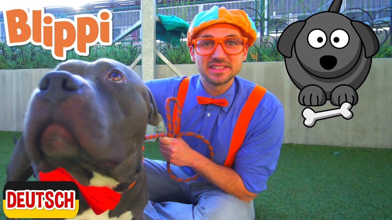 Blippi Deutsch - Blippi besucht das Tierheim  | Abenteuer und Videos für Kinder