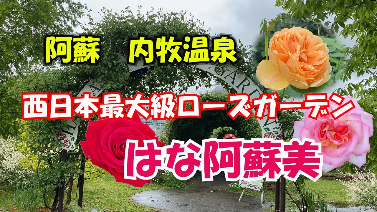 花便り 西日本最大級のバラ園 はな阿蘇美 コロナ過での経営危機から復活を目指す Youtube 花便り 西日本最大級のバラ園 はな阿蘇美 コロナ過での経営危機から復活を目指す Youtube