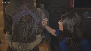 Information The 13th Floor preparing for Halloween weekend News