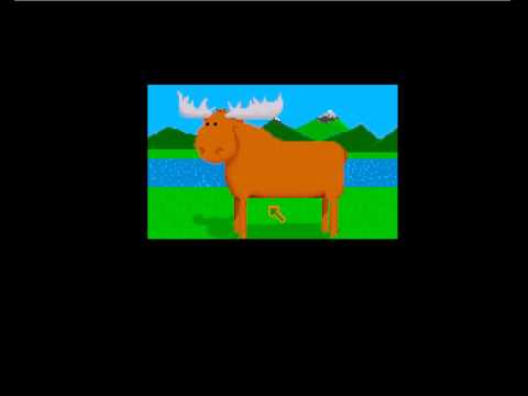 Anteprima video