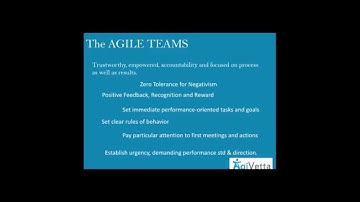 Agile in service management - 2015