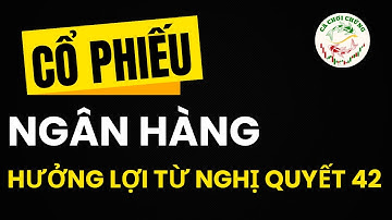 Cổ phiếu Ngân hàng hưởng lợi từ Nghị quyết 42 ? | Cá chơi chứng