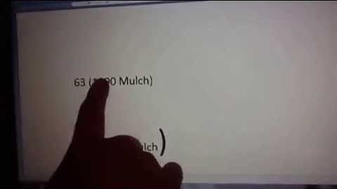 BIN WEEVILS 2013 codes new