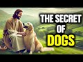 Is the DOG a Spiritual Creature? THE HIDDEN TRUTH about the DOG in the BIBLE