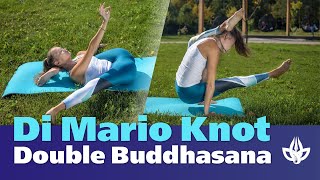 Çifte Buddhasana. Di Mario Knot. Bacaklar arkada. Eğilme yoga.