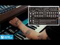 Oberheim OB-1 by Gforce Software - designed in collaboration with Oberheim
