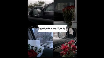 | حالات واتس اب قران | ايات قرانيه قصيره | للقارئ رعد الكردي.