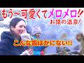 お猿ちゃん絶賛入浴中!!世界が絶賛した稀有な光景 が年々ますます超大人気に! 外国人可愛くてメロメロ!地獄谷のお猿さんもびっくりの大混雑!