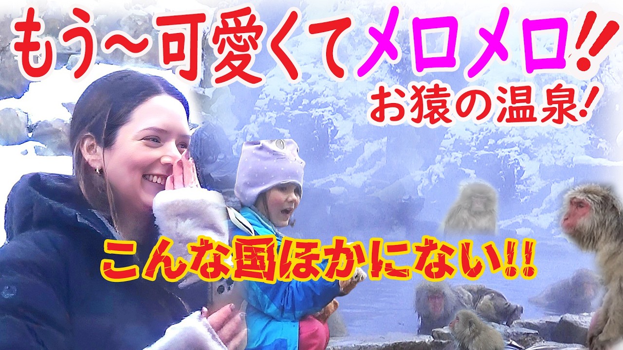 お猿ちゃん絶賛入浴中!!世界が絶賛した稀有な光景 が年々ますます超大人気に！ 外国人可愛くてメロメロ！地獄谷のお猿さんもびっくりの大混雑！