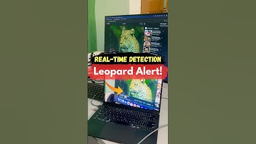 Leopard Alert System – ESP32 + AI Vision Detection😳🚨 #leopard #yolo #ml #aiprojects #mlproject