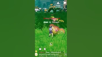 The Legend of Neverland MMORPG