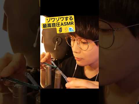 夏に聴きたい、最高音圧ASMR🗿☀️🏝