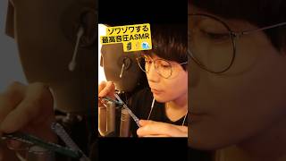 夏に聴きたい、最高音圧ASMR🗿☀️🏝