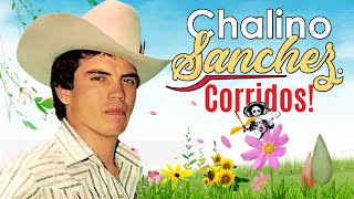 Chalino Sanchez Sus Grandes Exitos - 30 Corrido Pesados - Puros Corridos Mix