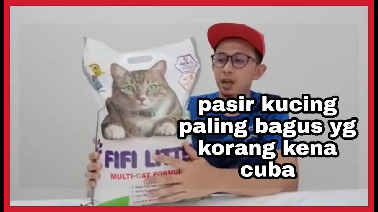 Pasir kucing yang  paling  bagus  YouTube