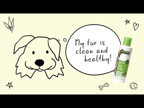 Video: Tea Tree Oil Och Pet Toxicity