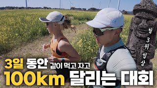 3박4일 숙식제공 달리기! 제주에서 폭싹 속았수다!😆 | 2025 제주 국제 트레일러닝대회