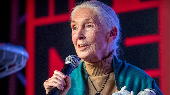 Jane Goodall speaks at McGill University