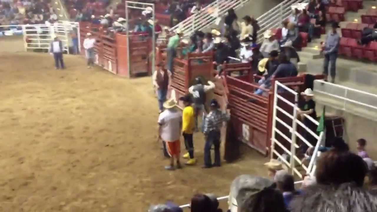 Mason Clements Bull Wars Golden Spike Arena New Years Eve YouTube mason-clements-bull-wars-golden-spike-arena-new-years-eve-youtube