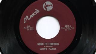Lloyd Parks: Kung Fu Fighting (Discomix)