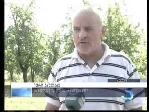 დათვების შემოსევა აჭარის მაღალმთიანეთში