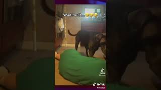 Funny Videos From TikTok №420